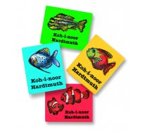 Radír KOH 6200/27 halak