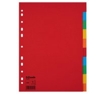 Regiszter A/4 karton Esselte