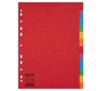 Regiszter A/4 karton Esselte