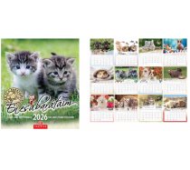 Falinaptár Én és a barátaim