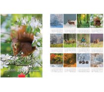 Falinaptár Erdeink Világa