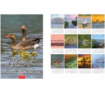 Falinaptár Vizeink Világa